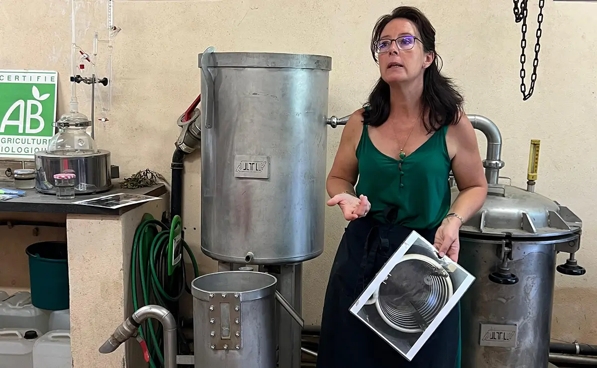 Aufguss Masters - Visit to the Domaine Amuredda Distillery
