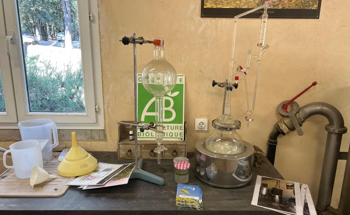 Aufguss Masters - Visit to the Domaine Amuredda Distillery