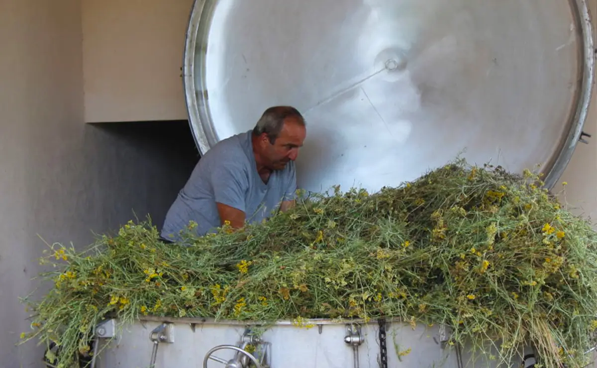 Aufguss Masters - Visit to the Domaine Amuredda Distillery
